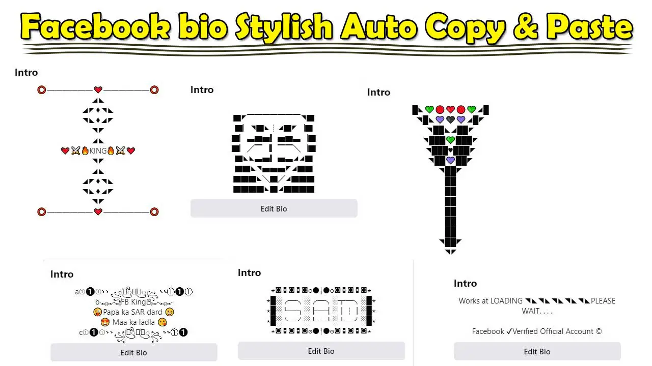 100+ Facebook bio Stylish Auto Copy & Paste [Updated]